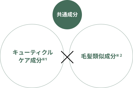 Point Image