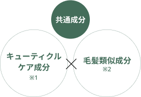 Point Image