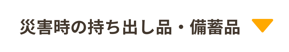 災害時の持ち出し品・備蓄品