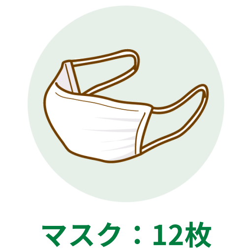 マスク:12枚
