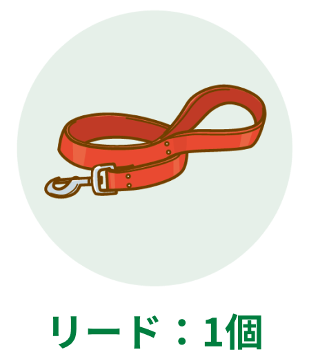 リード:1個