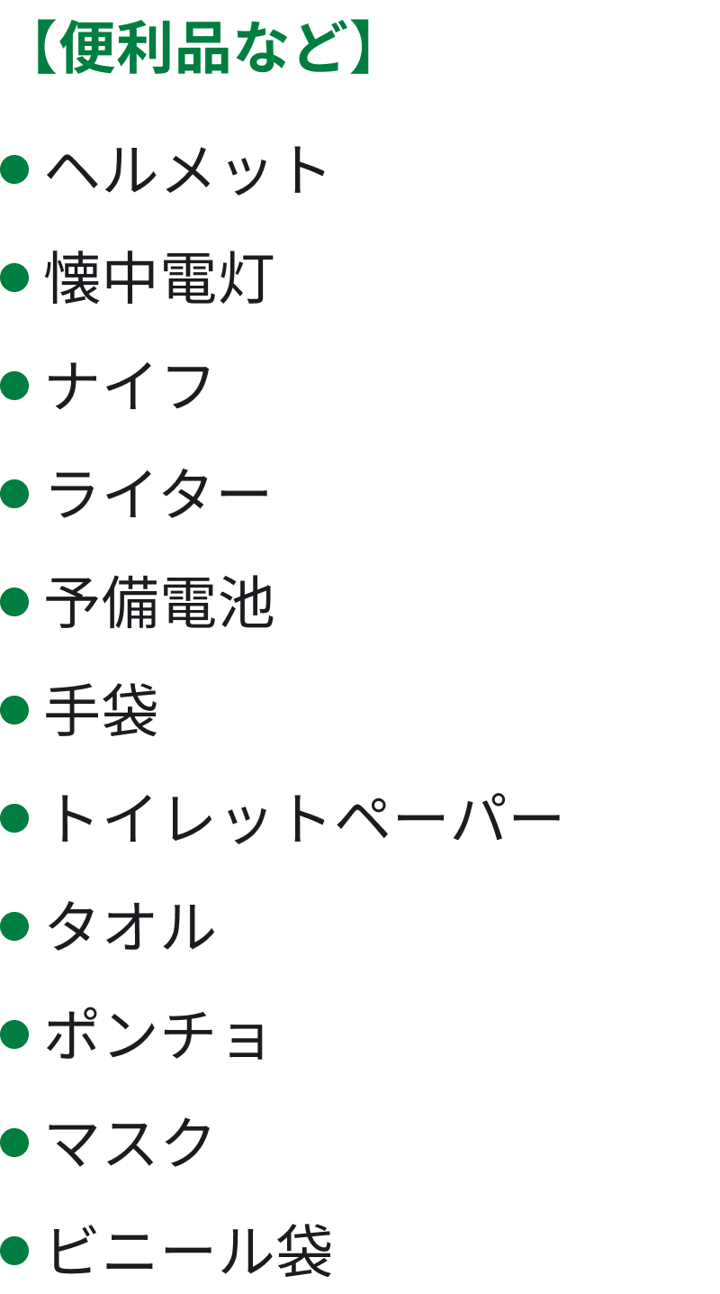 便利品など ヘルメット 懐中電灯 ナイフ ライター 予備電池 手袋 トイレットペーパー タオル ポンチョ マスク ビニール袋